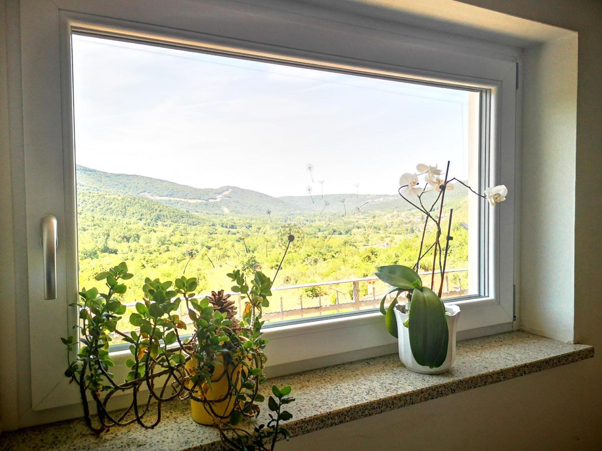 Apartma Ceh Gabrovica pri Črnem Kalu Exteriör bild